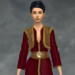 TSM Rooster Dress for All Ages