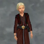 TSM Rooster Dress for All Ages