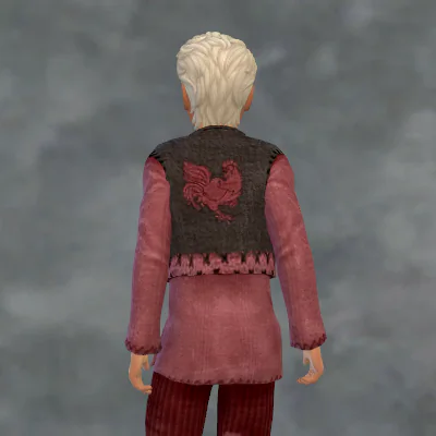 TSM Rooster Vest Outfit for All Ages
