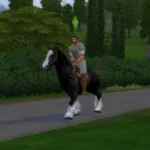Rosinante - a peasant's horse (instead of a bike)