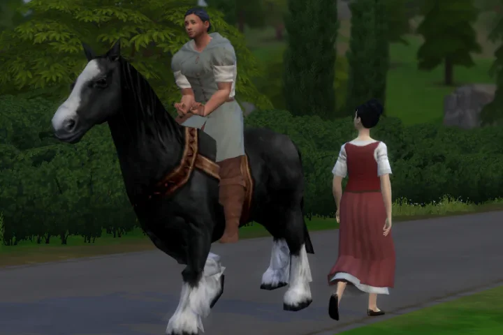 Rosinante - a peasant's horse (instead of a bike)