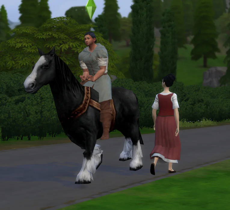 Rosinante - a peasant's horse (instead of a bike)