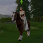 Rosinante - a peasant's horse (instead of a bike)