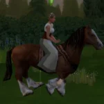 Rosinante - a peasant's horse (instead of a bike)