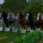 Rosinante - a peasant's horse (instead of a bike)