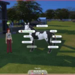 RSM (Horse Ranch) - Better Saddle Control