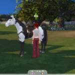 RSM (Horse Ranch) - Better Saddle Control