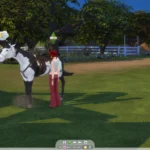 RSM (Horse Ranch) - Better Saddle Control