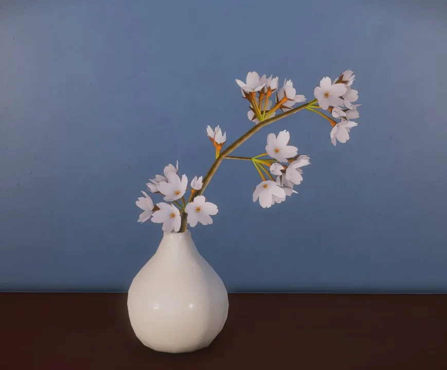 Cherry blossom branches in vase