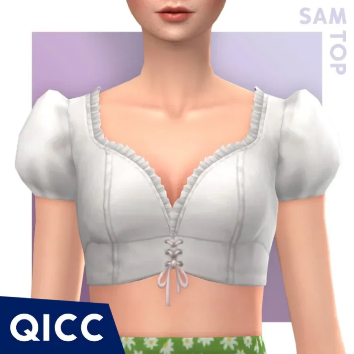 QICC - Sam Top