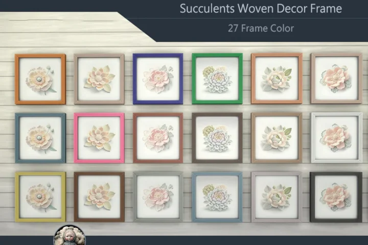 Succulents Woven Decor Frame #5 Samtuse963