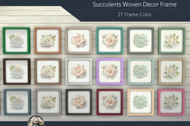Succulents Woven Decor Frame #9 Samtuse963