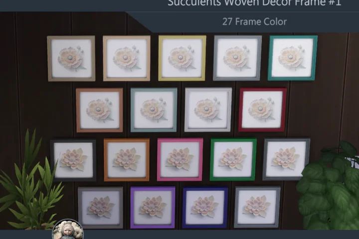 HQ Succulents Woven Decor Frame #1 Samtuse963