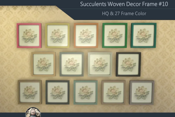 HQ Succulents Woven Decor Frame #10 Samtuse963