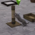 Olden Times Stuff for Pets