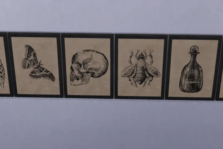 Curiosity paintings