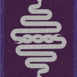 Snake Rugs
