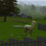 Free-Range