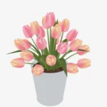 Tulips in pot