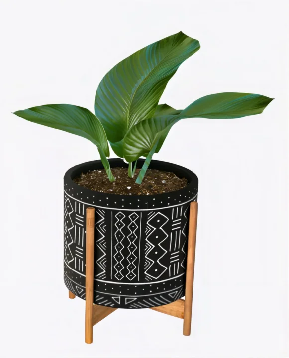 Boho plant #1