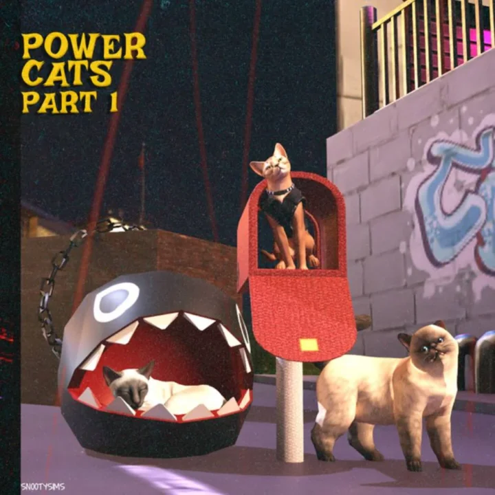 Power Cats Beds CC by SNOOTYSIMS