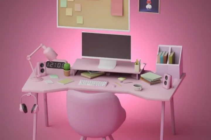 Chick Pink Workspace Set