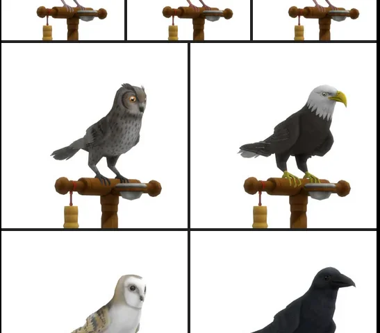 Birds (Part 2)
