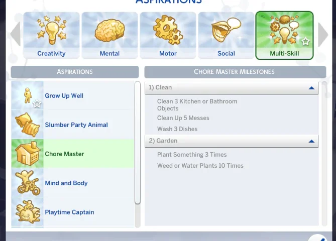 Chore Master Child Aspiration