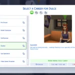 Slacker Part-Time Career