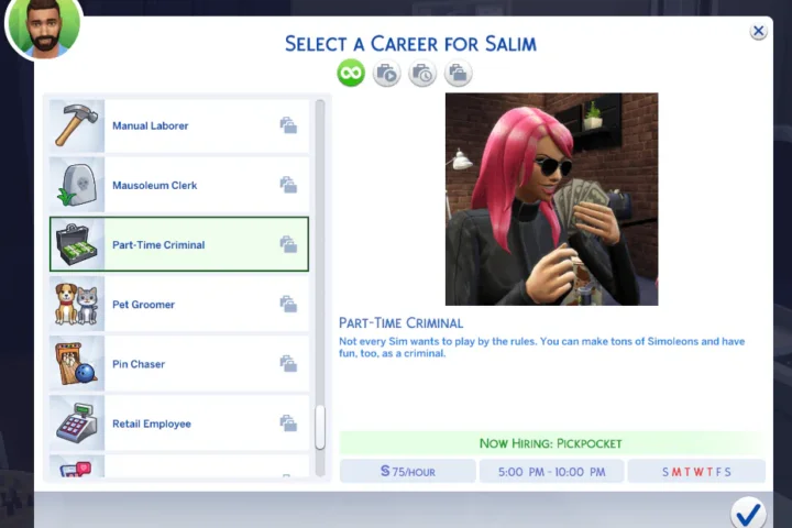 Part-Time Criminal Career