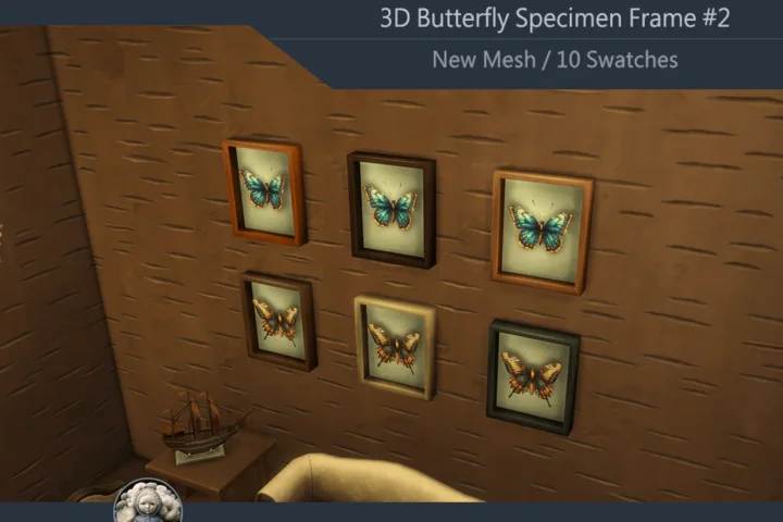 Butterfly Specimen Frame #2 Samtuse963