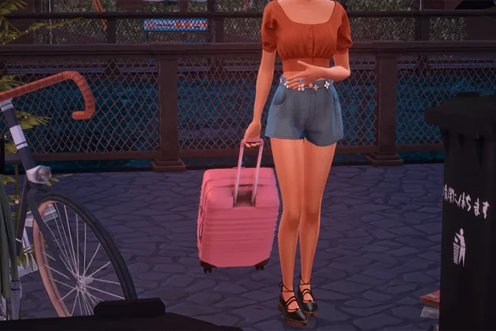 The Carry On Roller Luggage