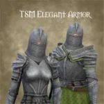 TSM Elegant Armor
