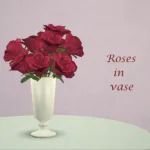 set Rose