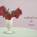 set Rose