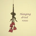 set Rose