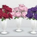 set Rose