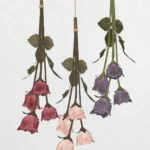 set Rose