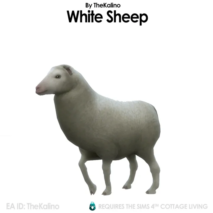 Sheeps for the Animal Shed