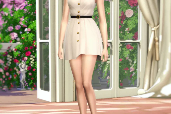 Jane Belted Shirt & Shirt Dress