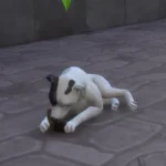 Olden Times Stuff for Pets