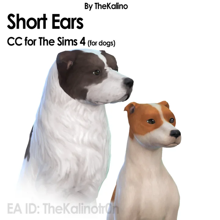 Short Ears