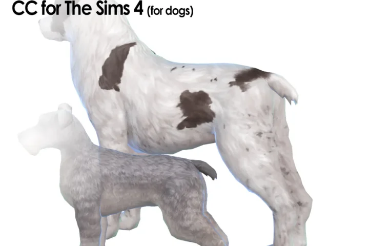 Short Tail (Dogs)