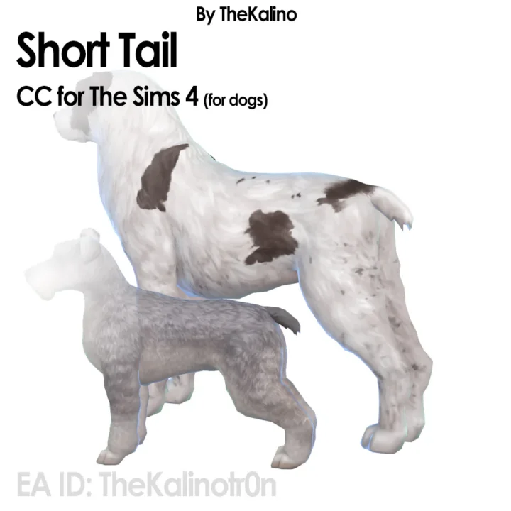 Short Tail (Dogs)
