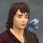 TSM Falcon as Accessory