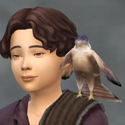 TSM Falcon as Accessory
