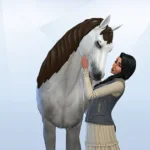 Townie Overhaul - Horse Ranch