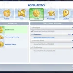 Simillionaire Aspiration