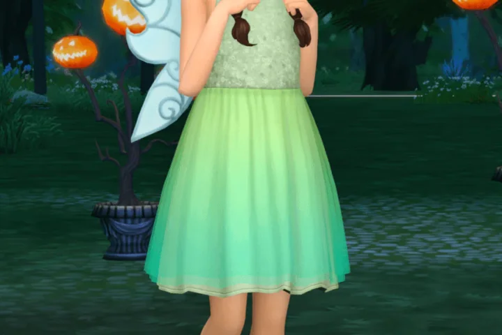 Fairy Costume for Kids