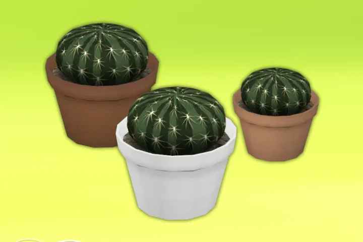 Green Time 4 Potted Cactuses 🎍🌵🏜